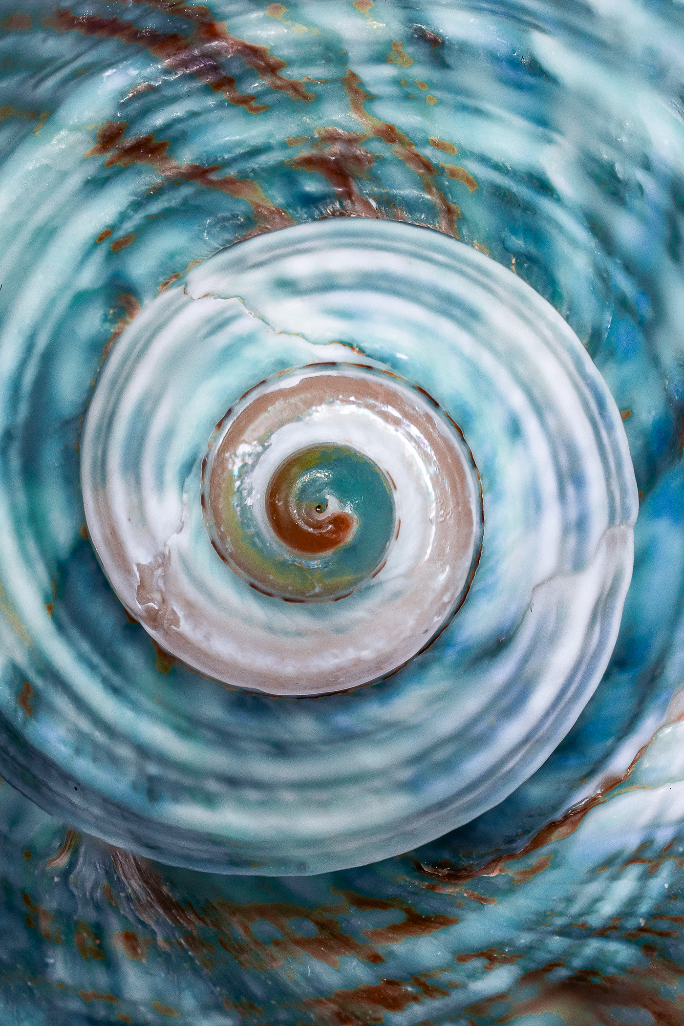 Étude de textures #21