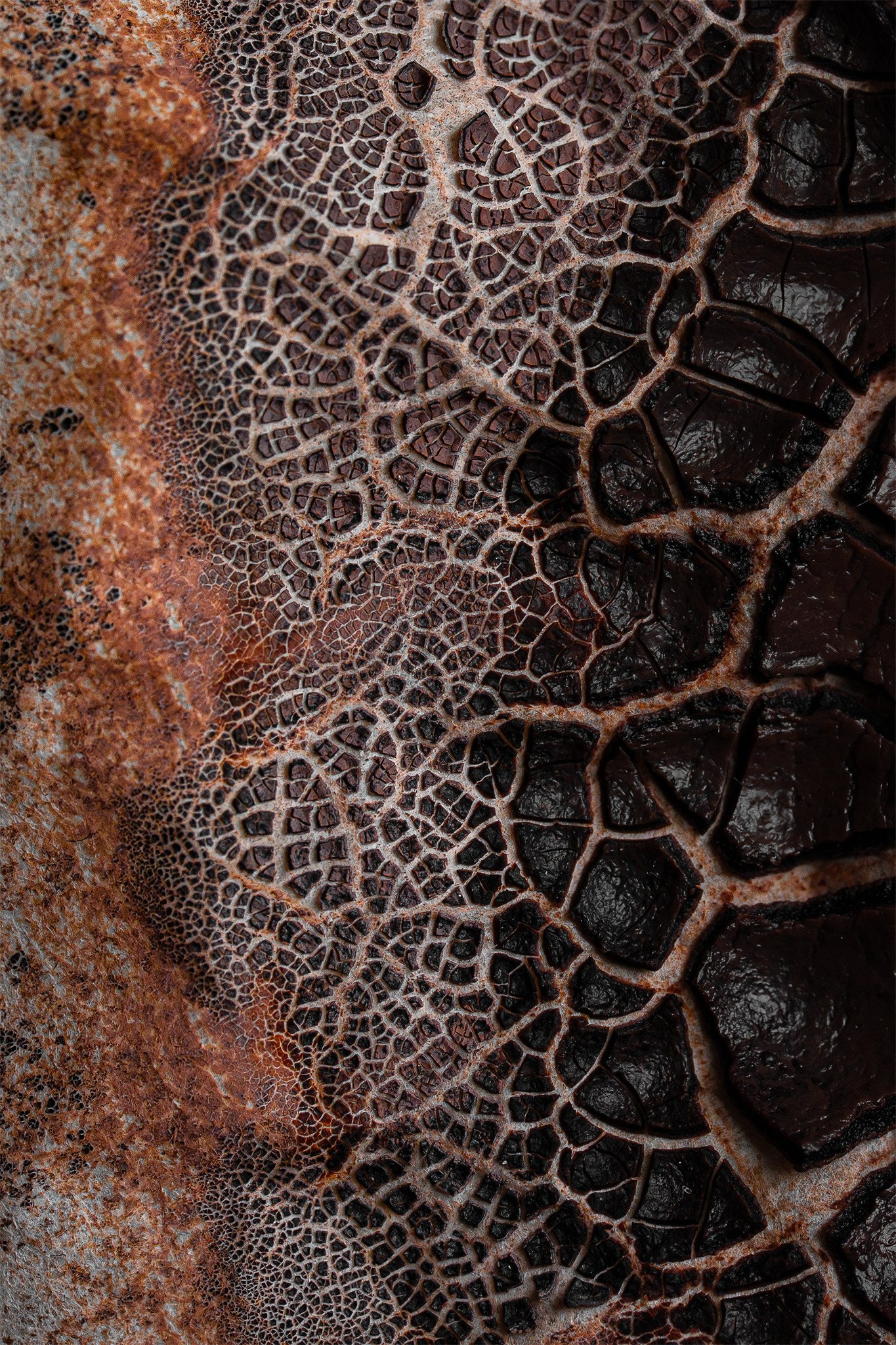 Étude de textures #01