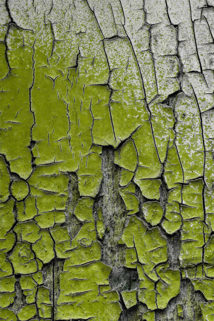 Étude de textures #22