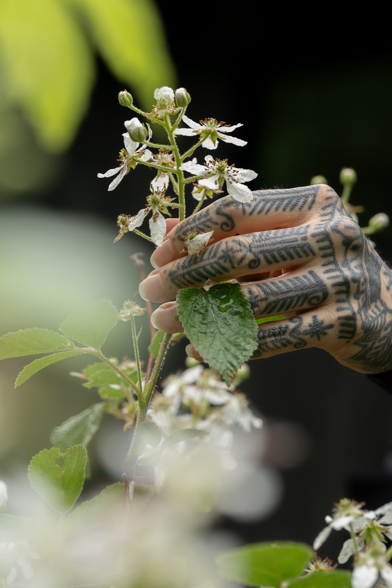 Foraging plants & minerals