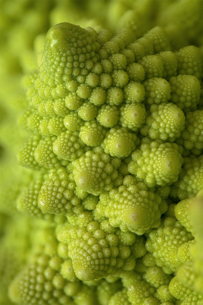 Étude de textures #13