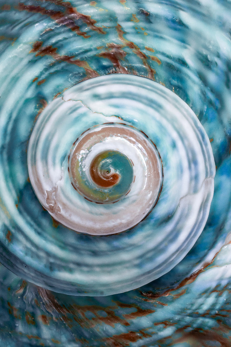 Étude de textures #21