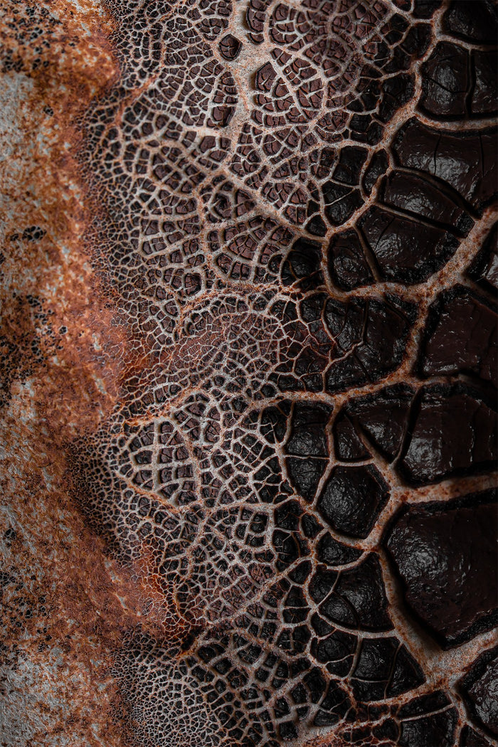 Étude de textures #01