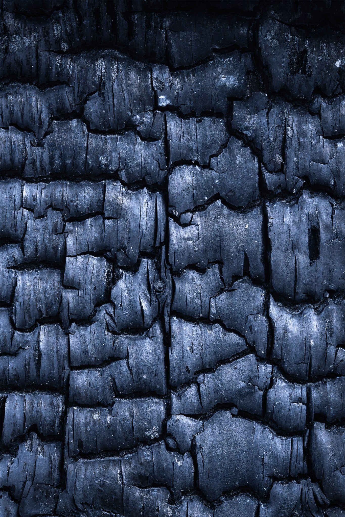 Étude de textures #08